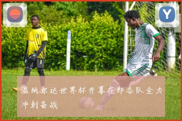 温纳尔达世界杯开幕在即各队全力冲刺备战