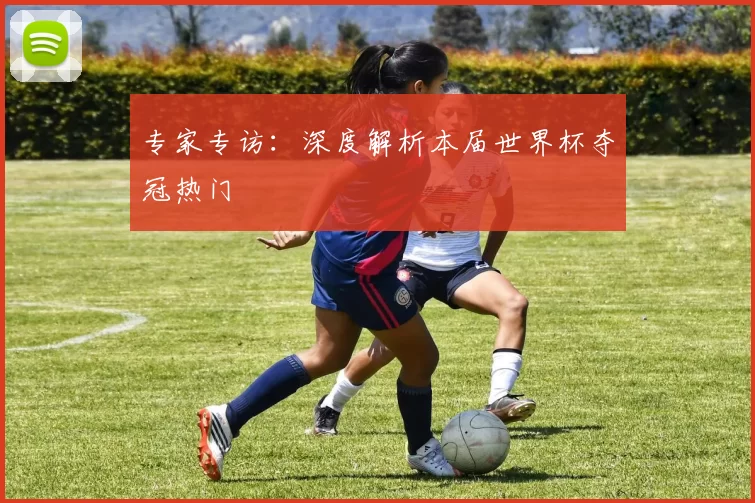 专家专访:深度解析本届世界杯夺冠热门