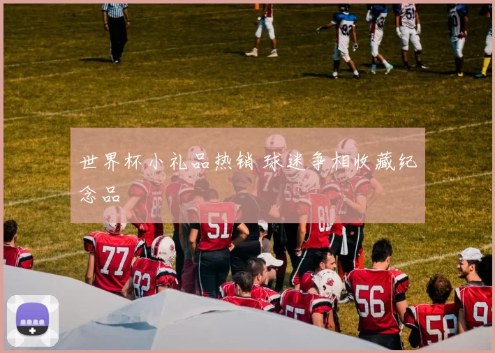 世界杯小礼品热销 球迷争相收藏纪念品