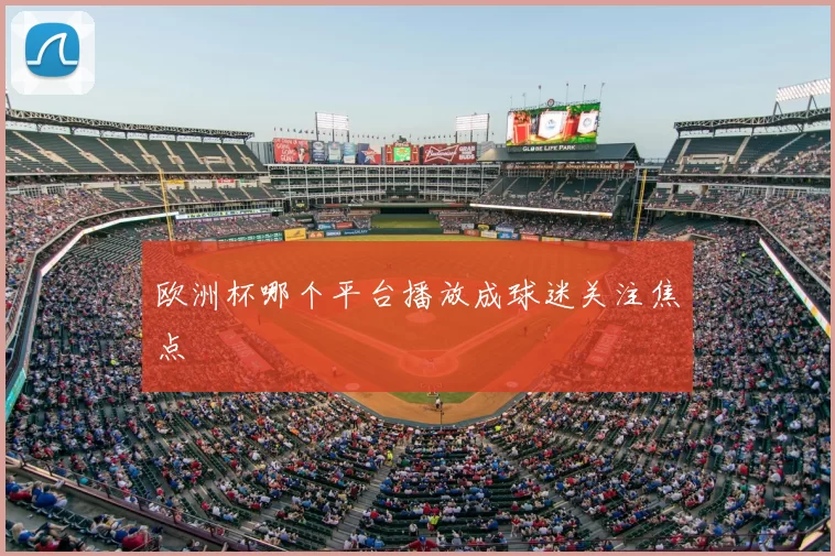 欧洲杯哪个平台播放成球迷关注焦点