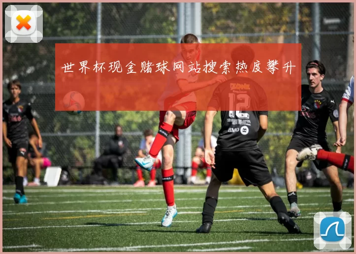 世界杯现金赌球网站搜索热度攀升