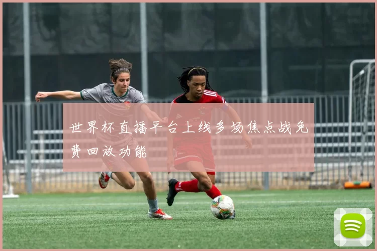 世界杯直播平台上线多场焦点战免费回放功能
