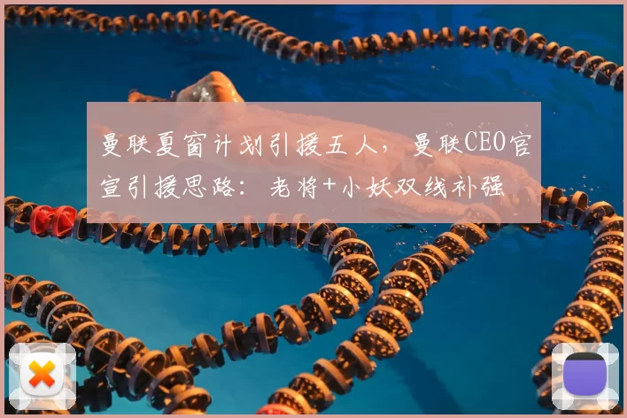 曼联夏窗计划引援五人，曼联CEO官宣引援思路：老将+小妖双线补强