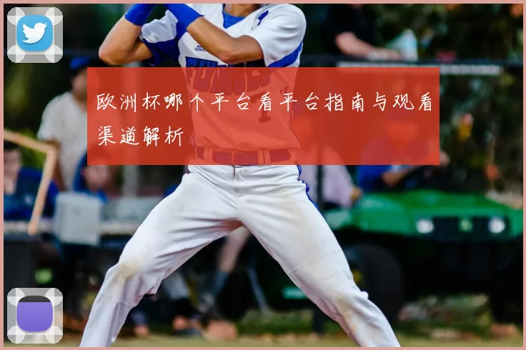 欧洲杯哪个平台看平台指南与观看渠道解析