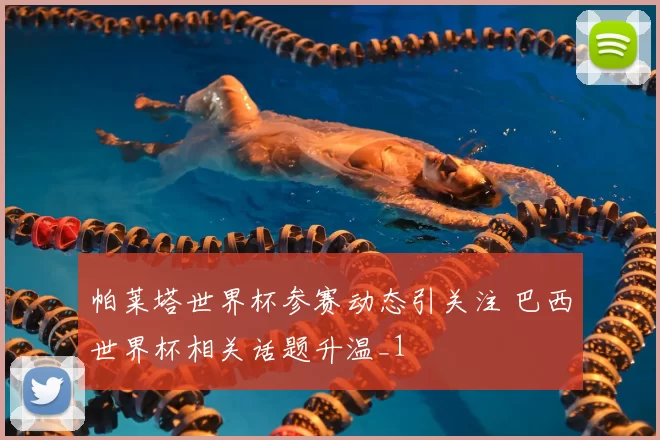 帕莱塔世界杯参赛动态引关注 巴西世界杯相关话题升温_1