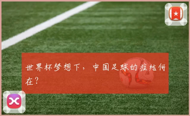 世界杯梦想下,中国足球的症结何在?