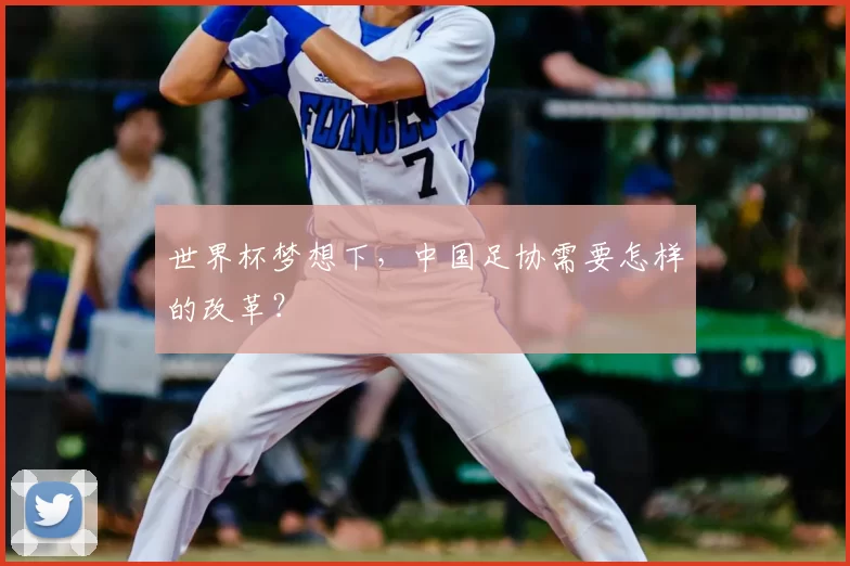 世界杯梦想下,中国足协需要怎样的改革?