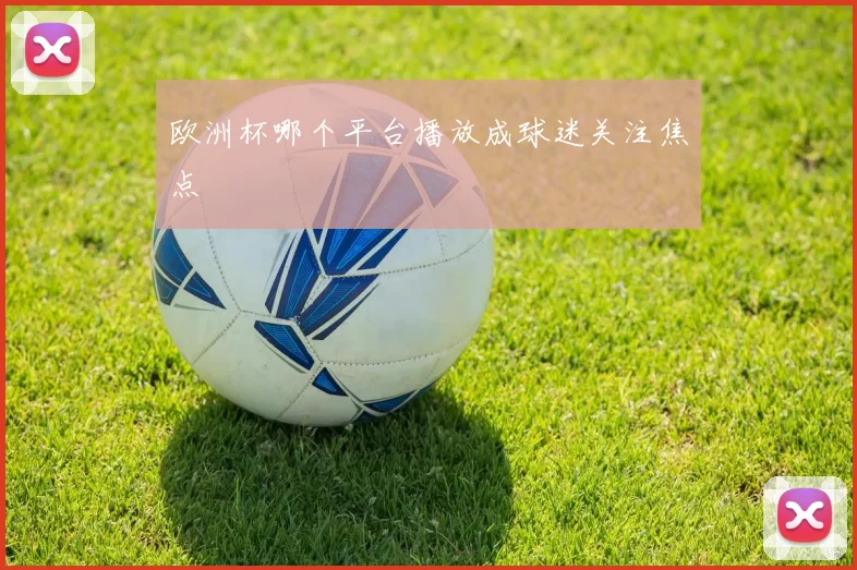 欧洲杯哪个平台播放成球迷关注焦点