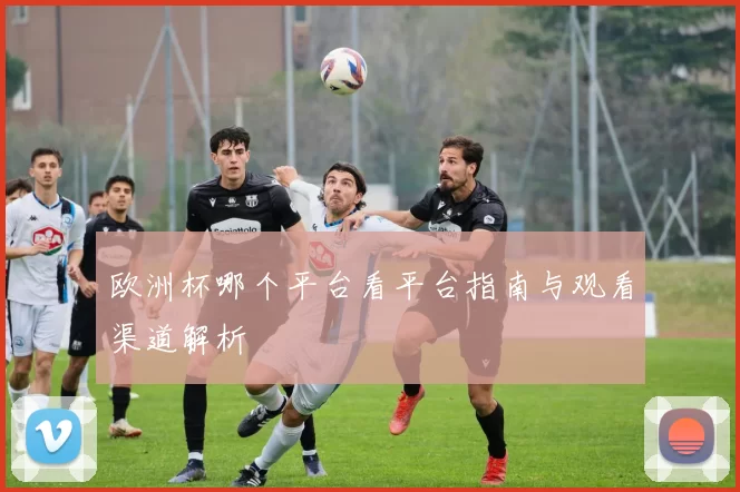 欧洲杯哪个平台看平台指南与观看渠道解析