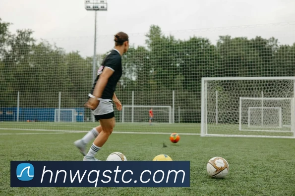 华体会体育平台生态图